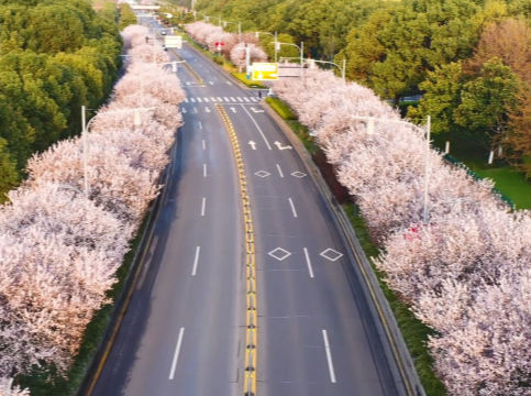 盘点“一带一路”上的鹿山元素